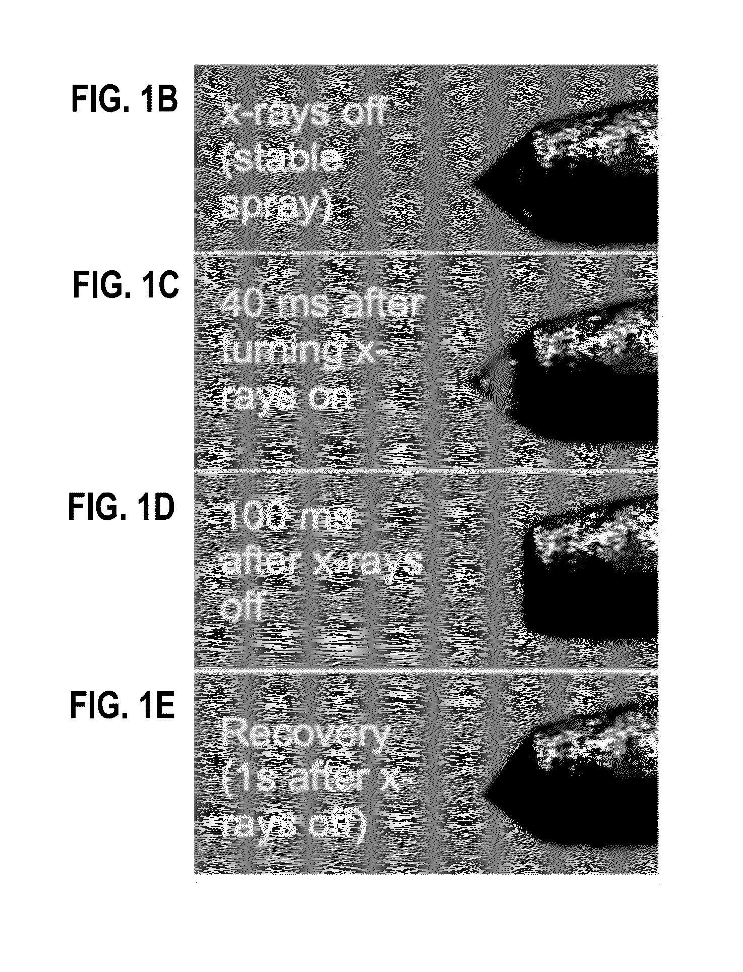Apparatus and method for nanoflow liquid jet and serial femtosecond x-ray protein crystallography