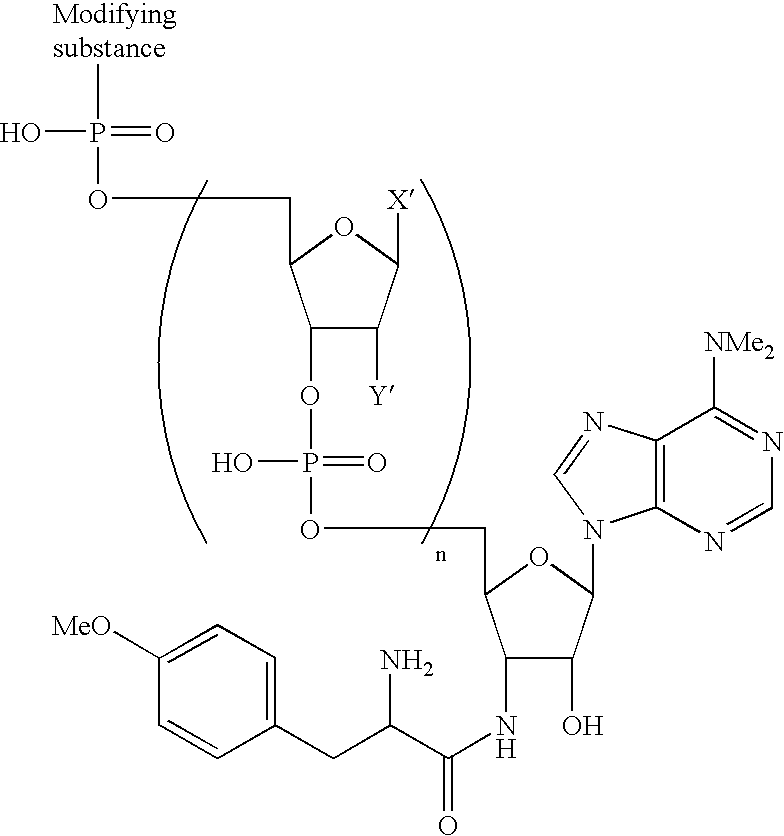 Recombinant template used for producing a carboxy-terminal modified protien and a method of producing a carboxy-terminal modified protein