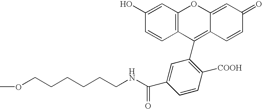 Recombinant template used for producing a carboxy-terminal modified protien and a method of producing a carboxy-terminal modified protein