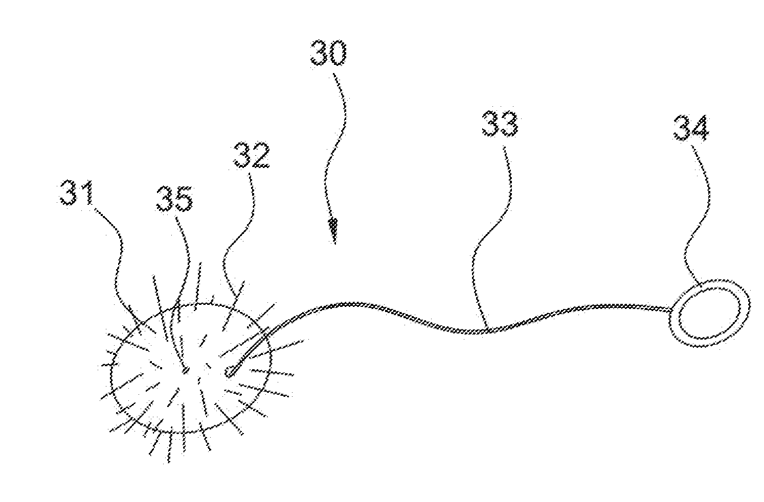 Dental Hygiene And Gum Stimulator Device