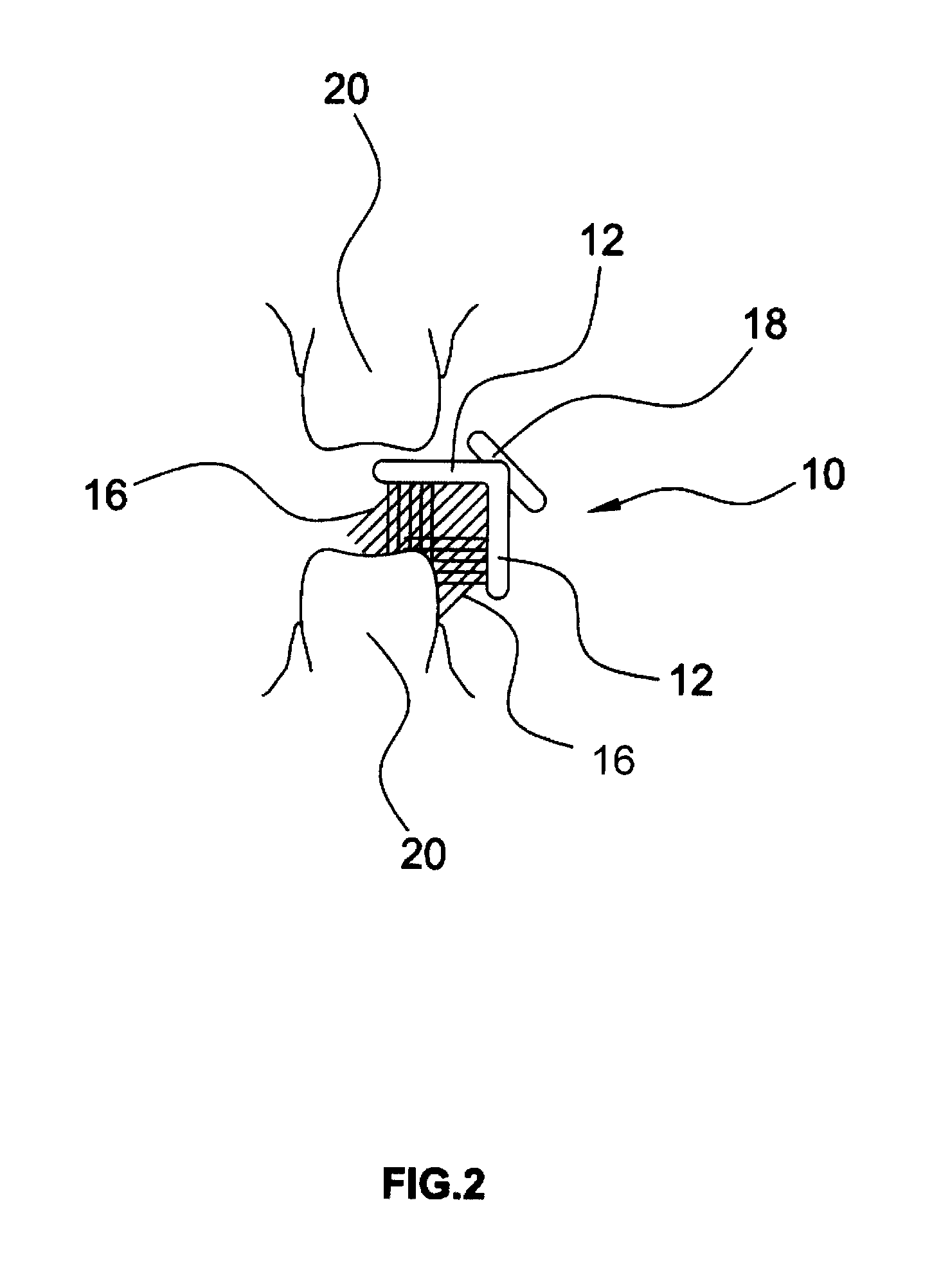 Dental Hygiene And Gum Stimulator Device