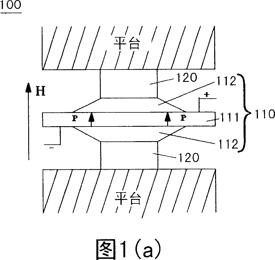 Magnetoelectric coupling device