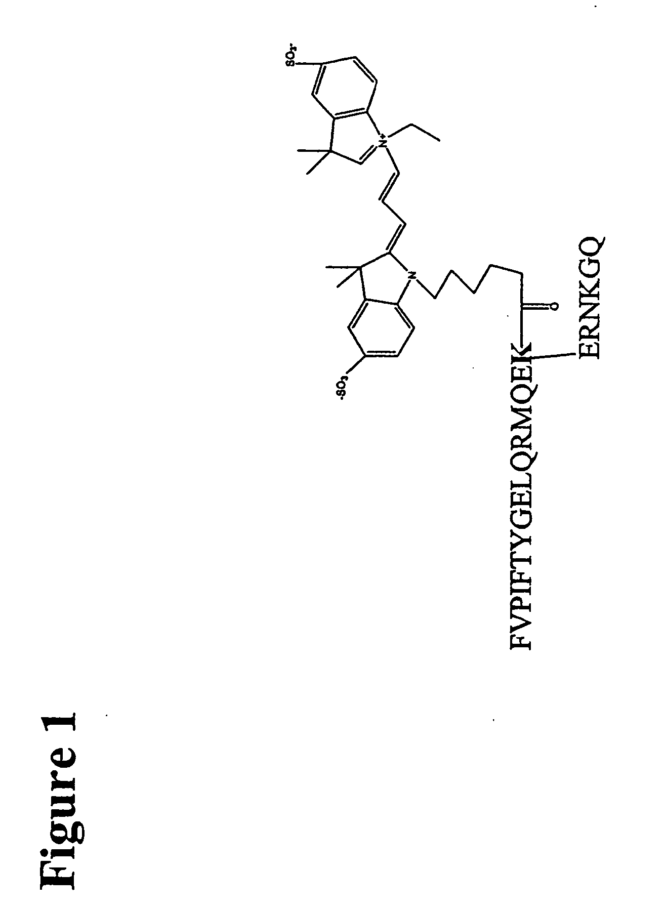 Fluorescent ligands for GPCR arrays