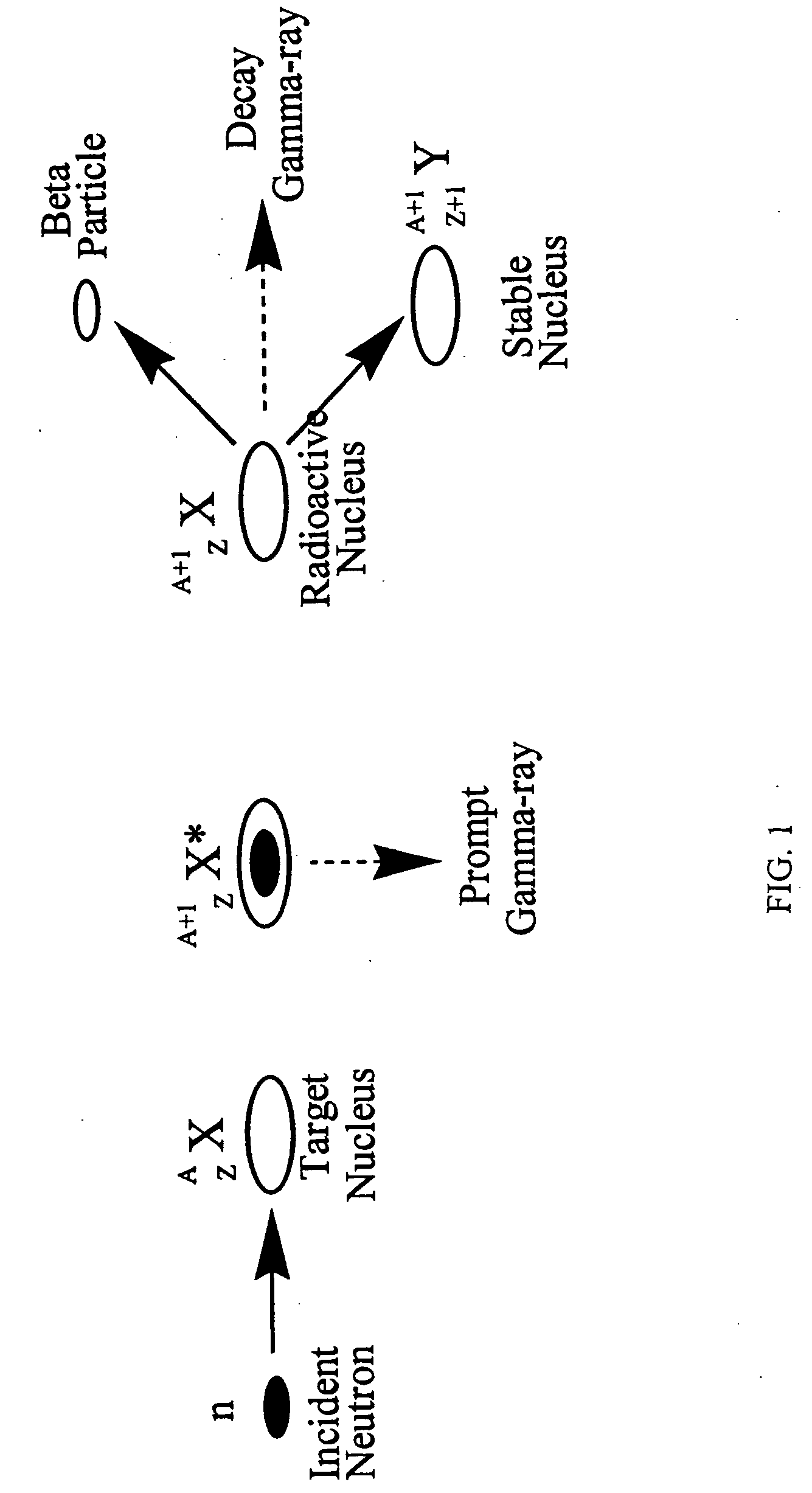 Synthesis, compositions and methods for the measurement of the concentration of stable-isotope labeled compounds in life forms and life form excretory products