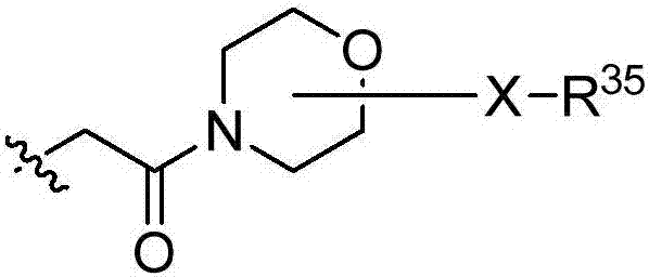 Macrocyclic peptides useful as immunomodulators