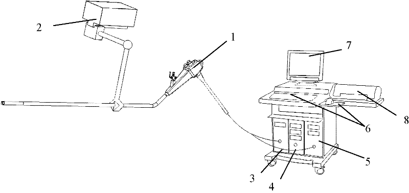 Three-dimensional electronic gastroscope system and using method thereof