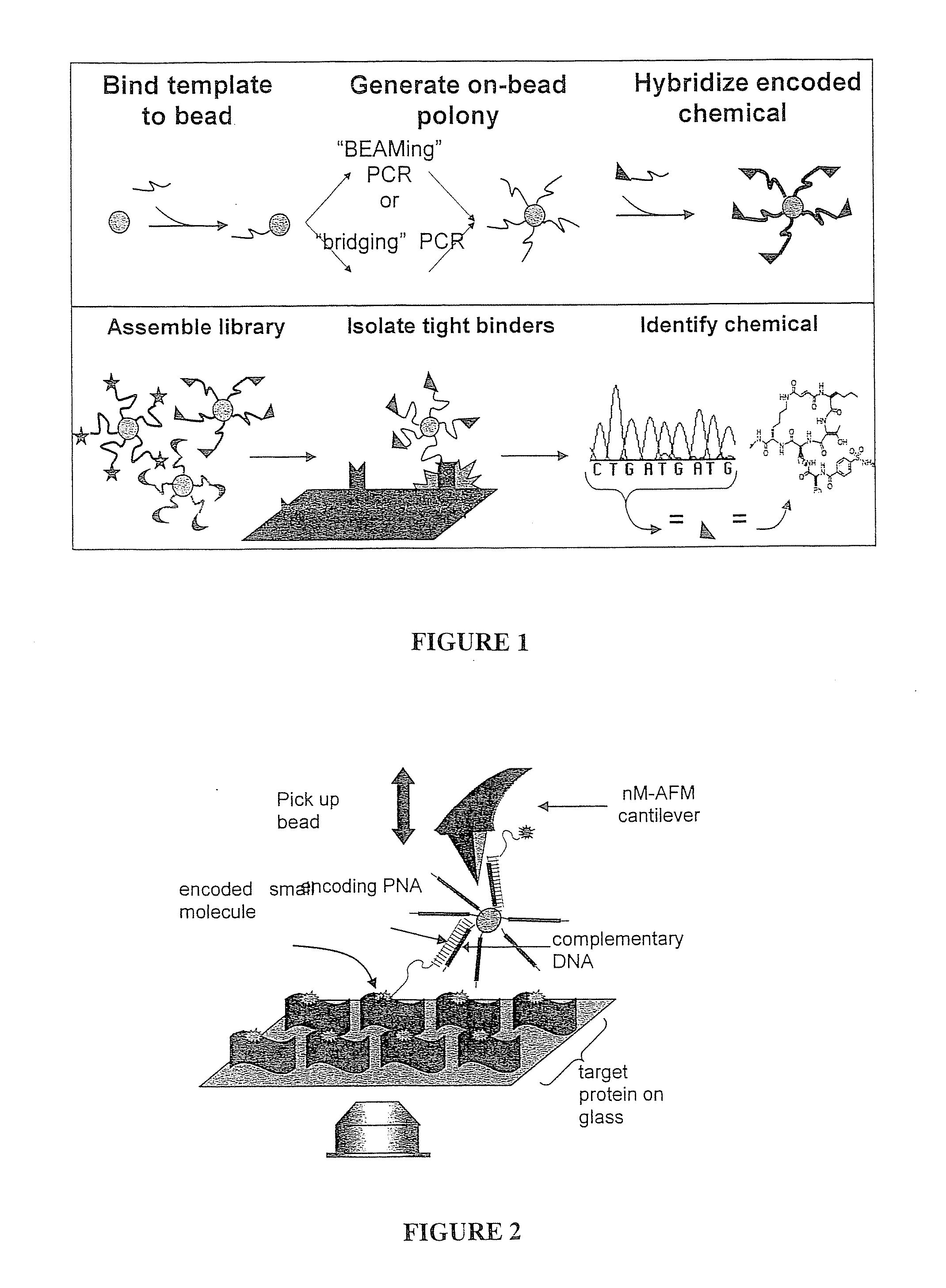 Compositions, Methods, and Kits for Identifying Candidate Molecules from Encoded Chemical Libraries