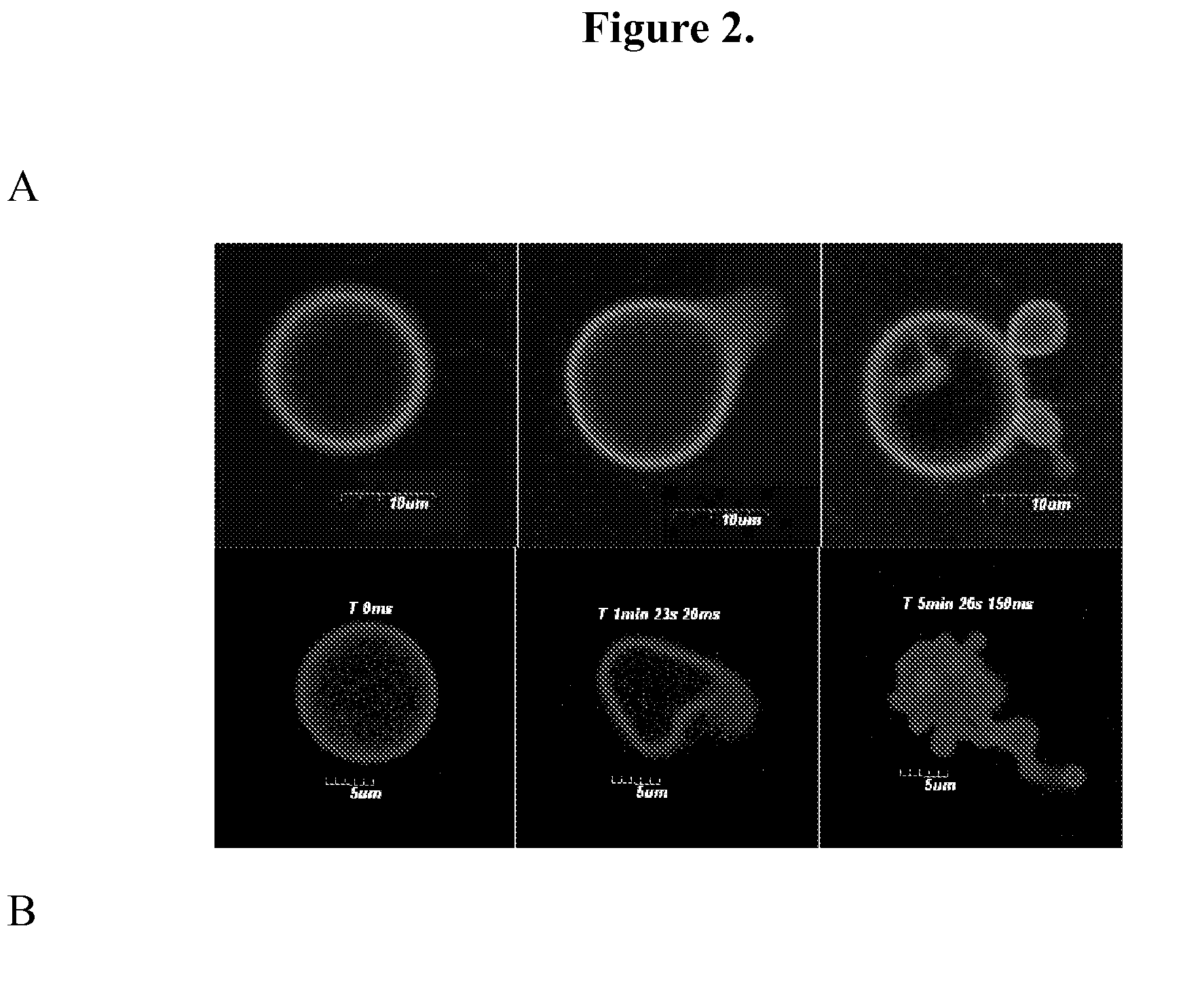 Polymer vesicles for selective electromagnetic energy-induced delivery