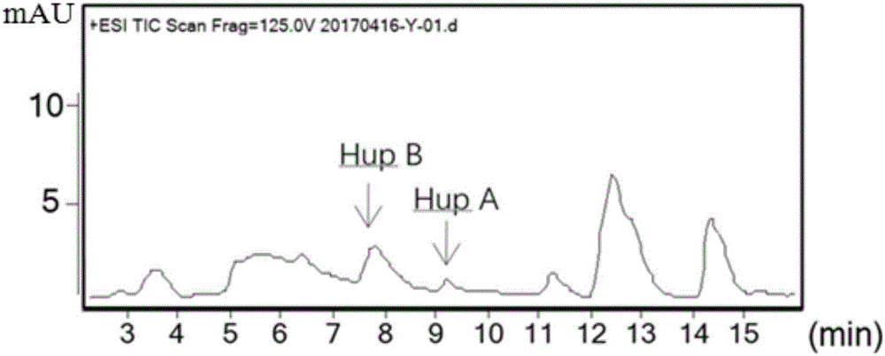 Bacillus amyloliquefaciens SXZ-N2 strain producing huperzine A and huperzine B and usage