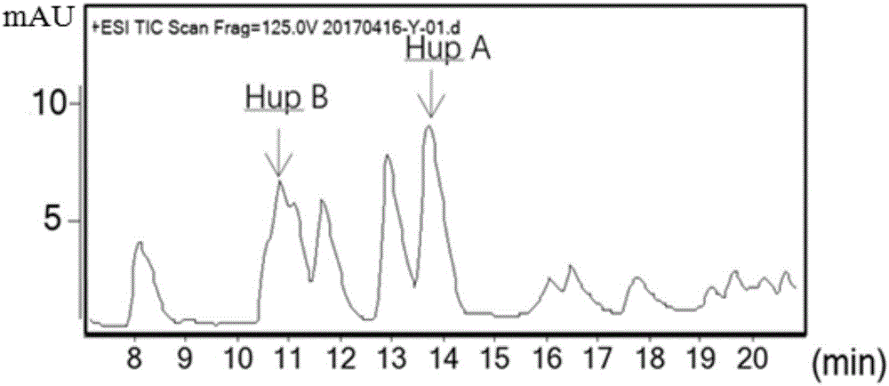 Bacillus amyloliquefaciens SXZ-N2 strain producing huperzine A and huperzine B and usage
