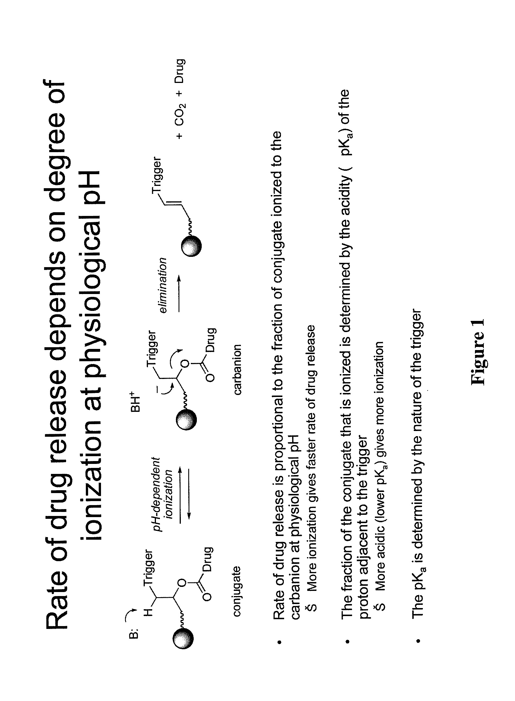 Prodrugs and drug-macromolecule conjugates having controlled drug release rates