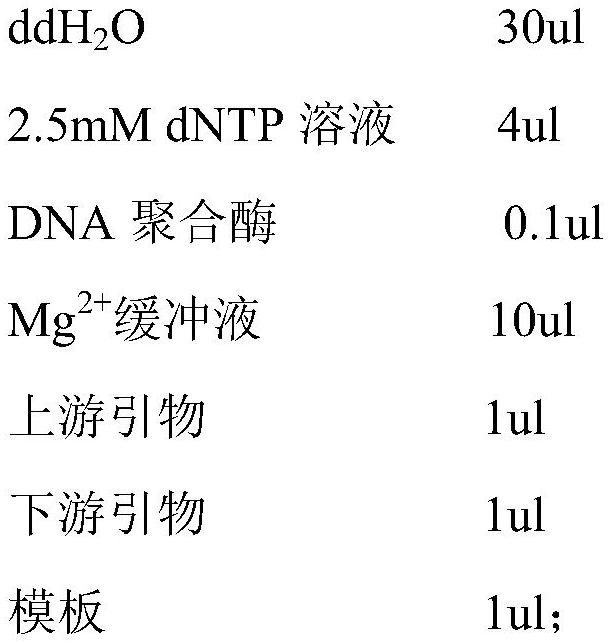 Cephalosporin C acylase mutant and its preparation method and application