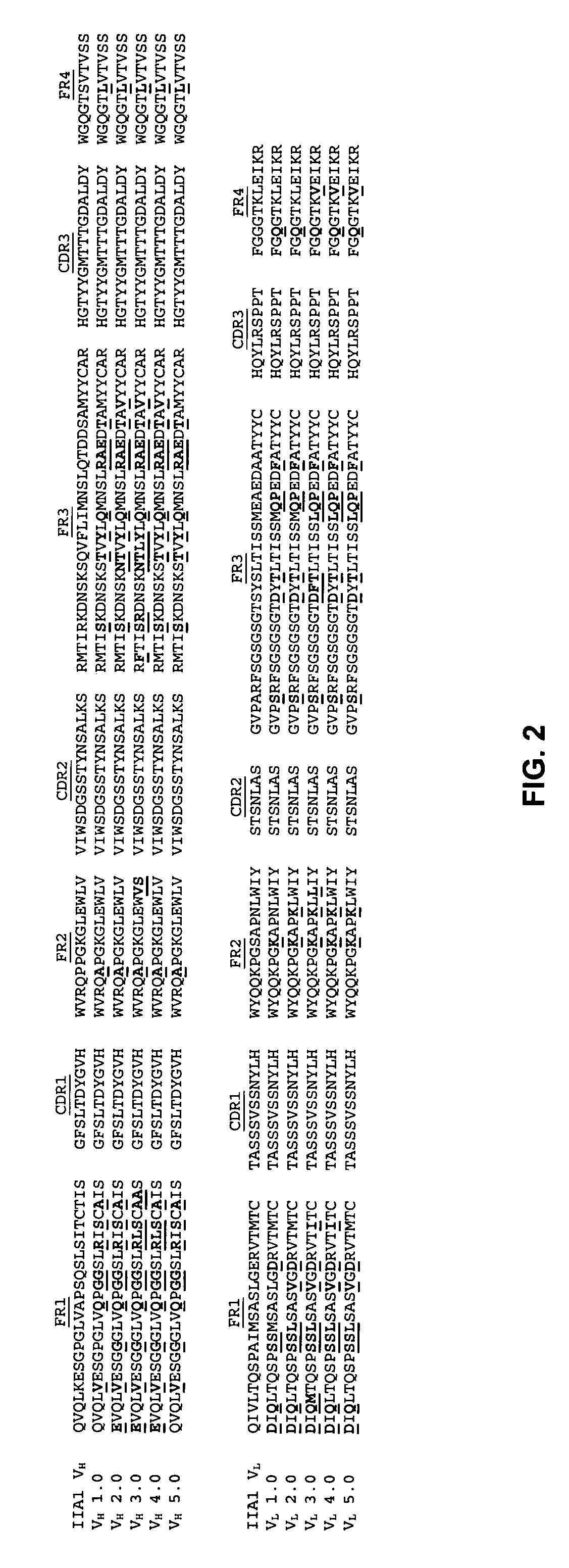 Methods of production and use of anti-integrin antibodies for the control of tissue granulation