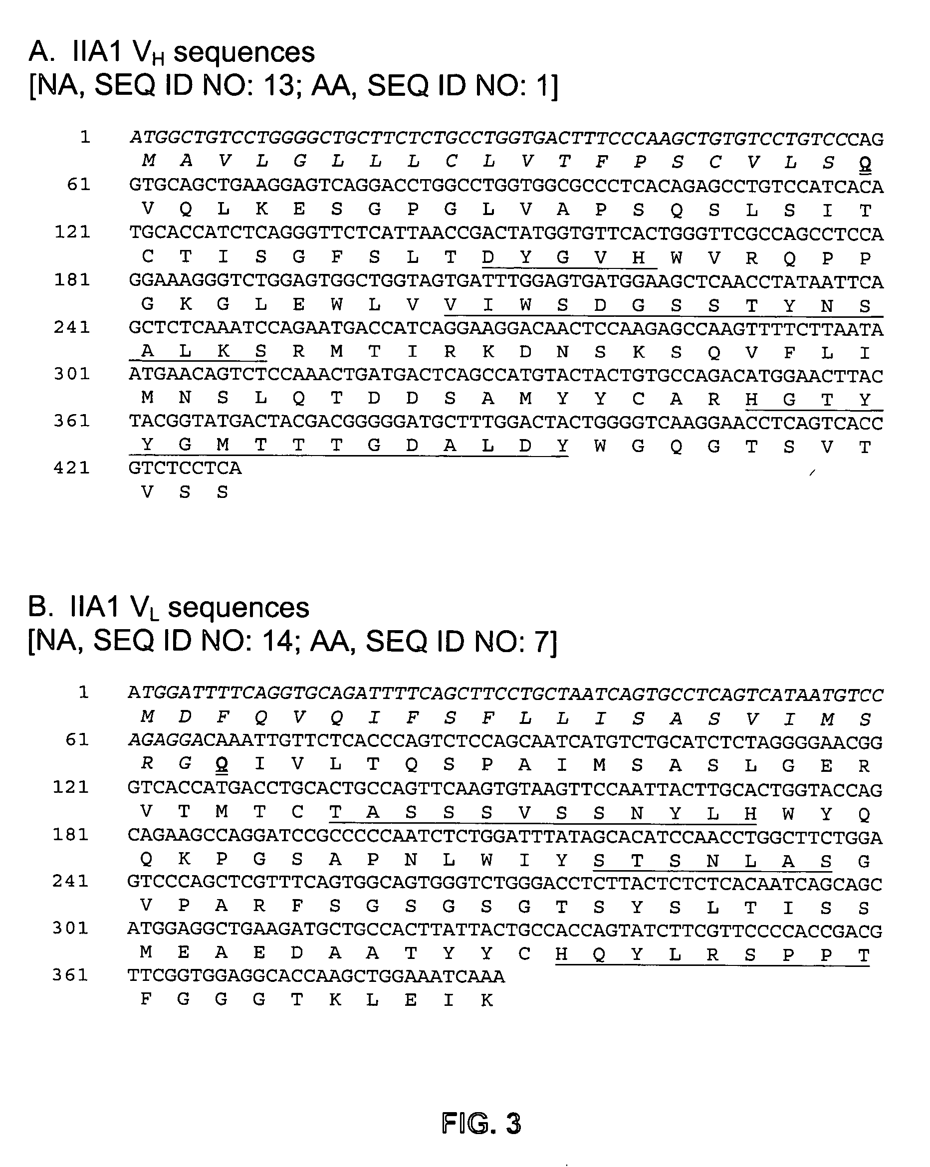 Methods of production and use of anti-integrin antibodies for the control of tissue granulation