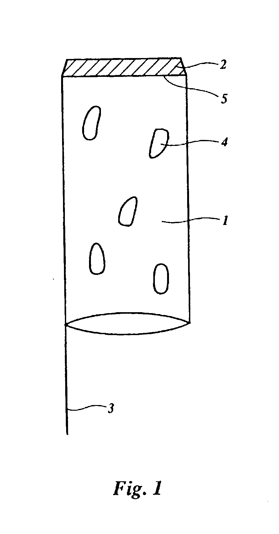 Device for enhanced delivery of biologically active substances and compounds in an organism