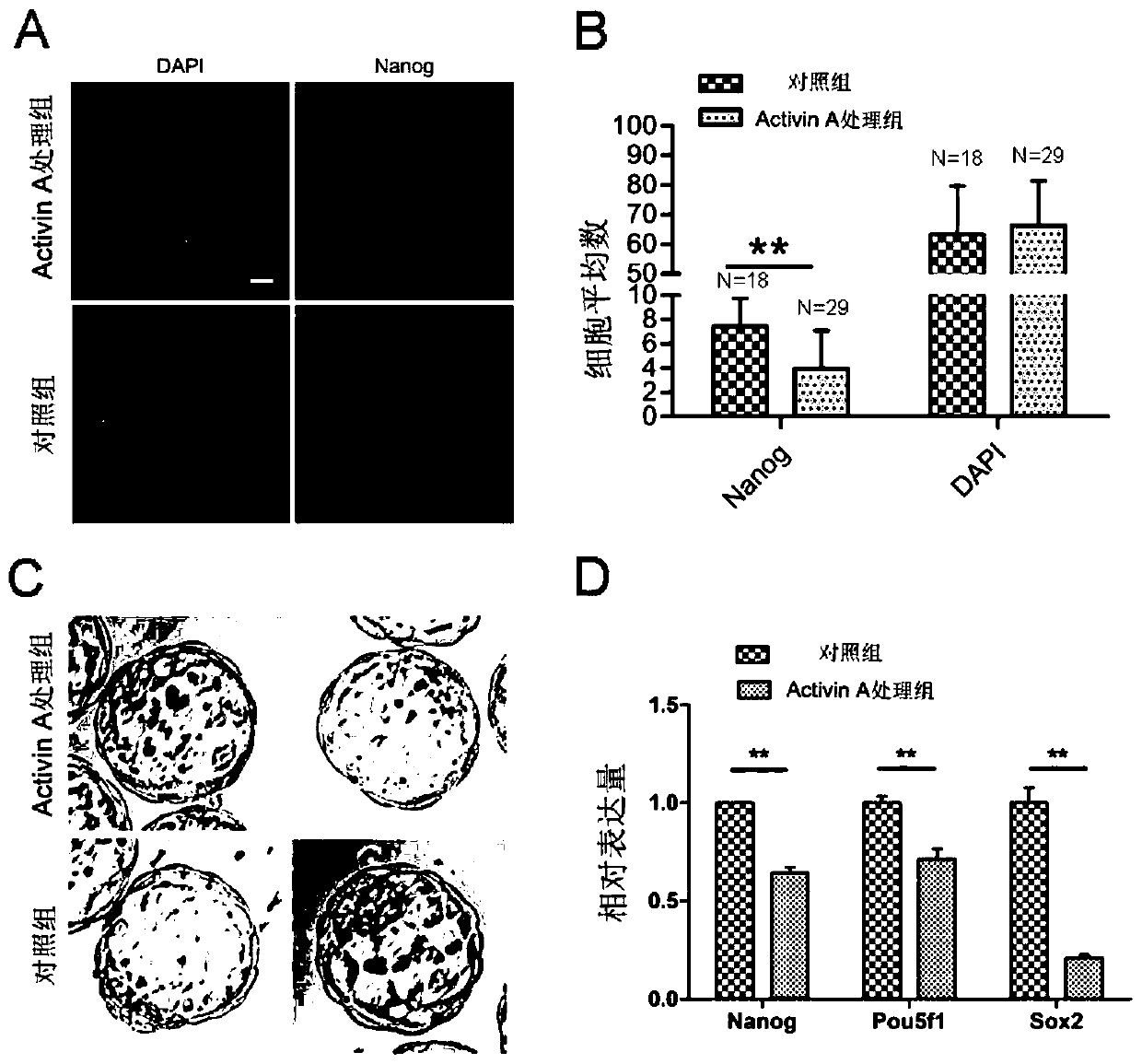 A method for improving the chimerism ability of mouse ES cells to early embryonic epiblast