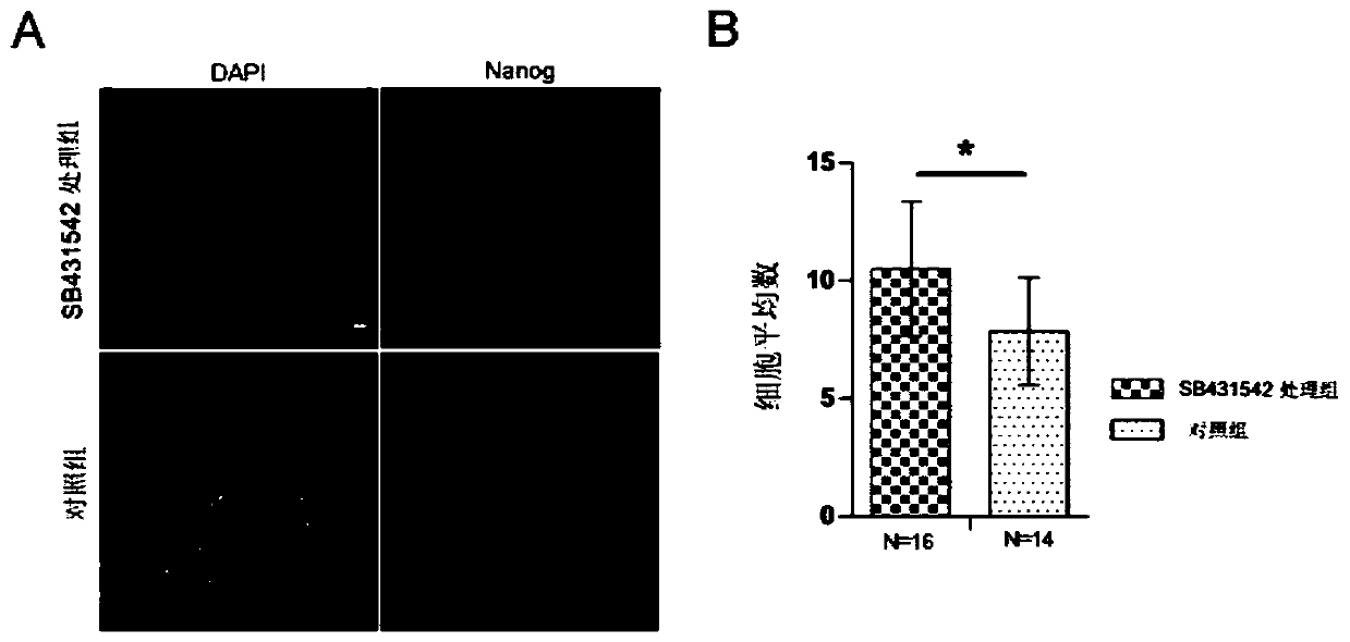 A method for improving the chimerism ability of mouse ES cells to early embryonic epiblast