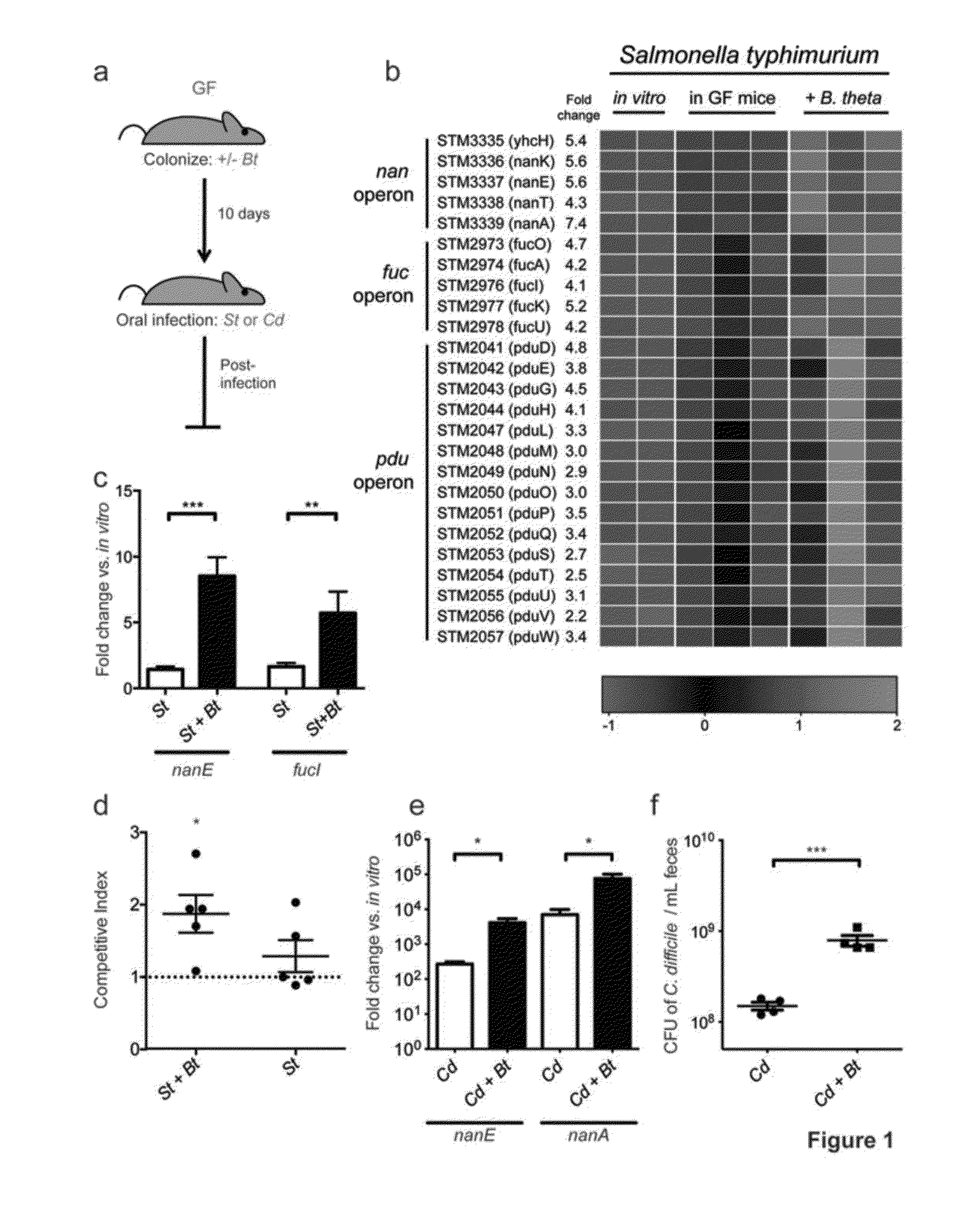 Nutritional and metabolic approaches to prevent emergence of enteric pathogens