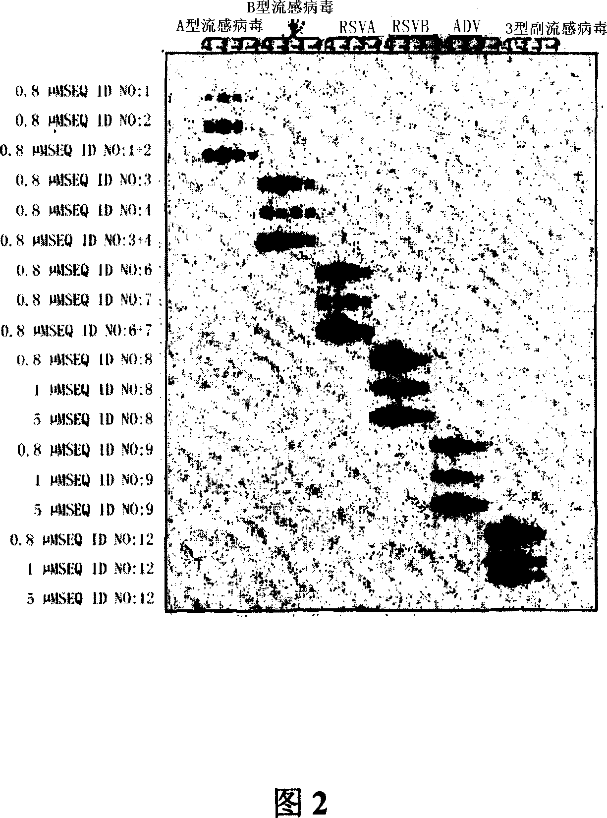 Probes and methods for the simultaneous detection and identification of multiple viruses that cause respiratory infections in humans