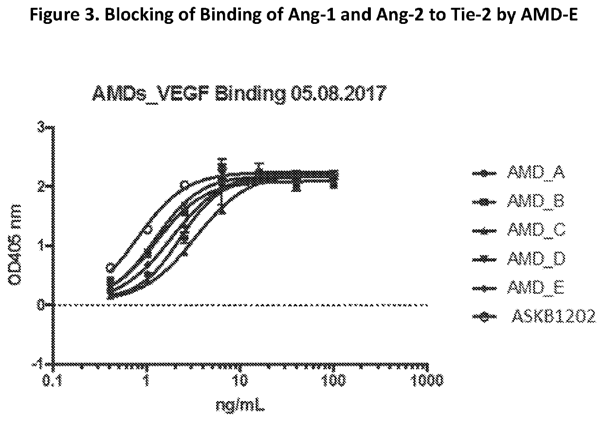 Novel angiopoietin 2, VEGF dual antagonists