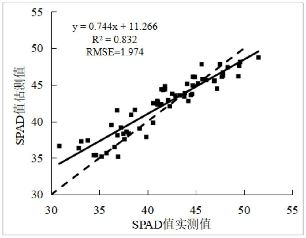 Tobacco leaf SPAD value estimation method based on novel vegetation index