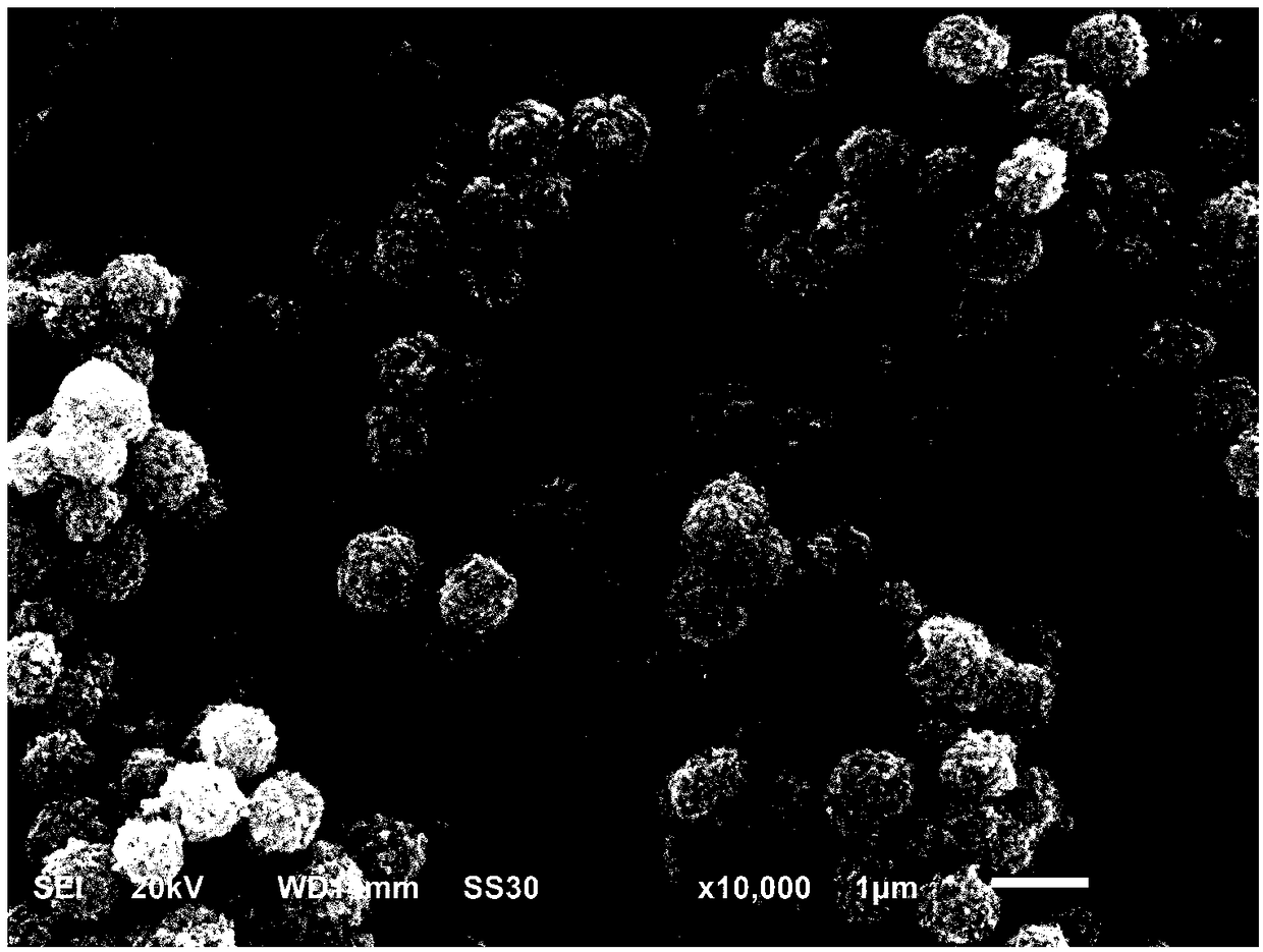 Preparation method of nano antibacterial coating based on molybdenum disulfide and photosensitizer near-infrared optical response