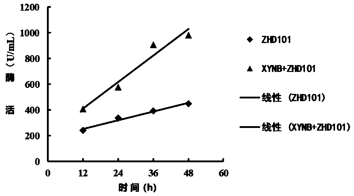 Zearalenone degrading enzyme fusion protein and coding gene thereof and application thereof
