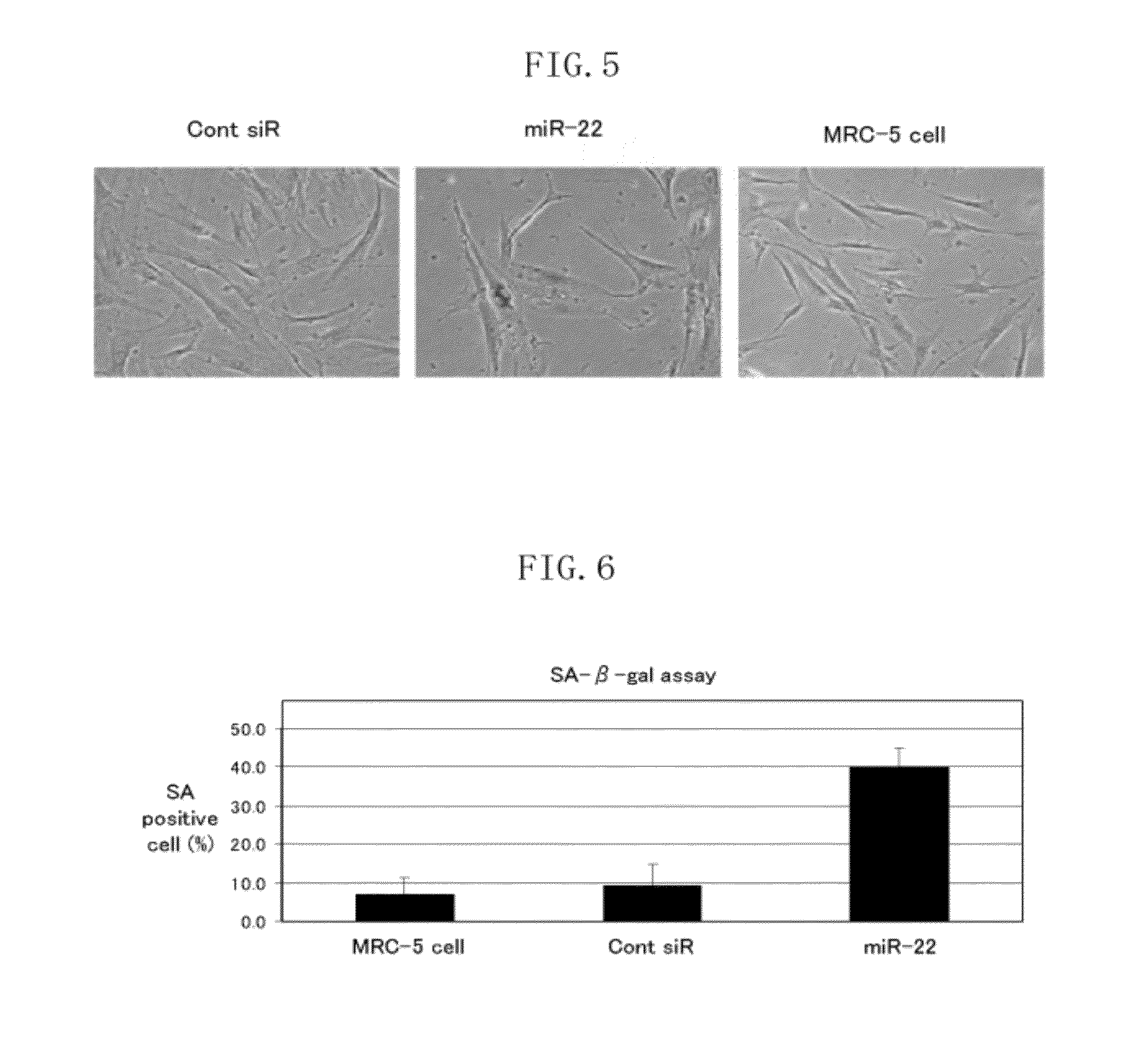 Senescence marker, method for evaluating senescence inhibitor, and cancer inhibitor