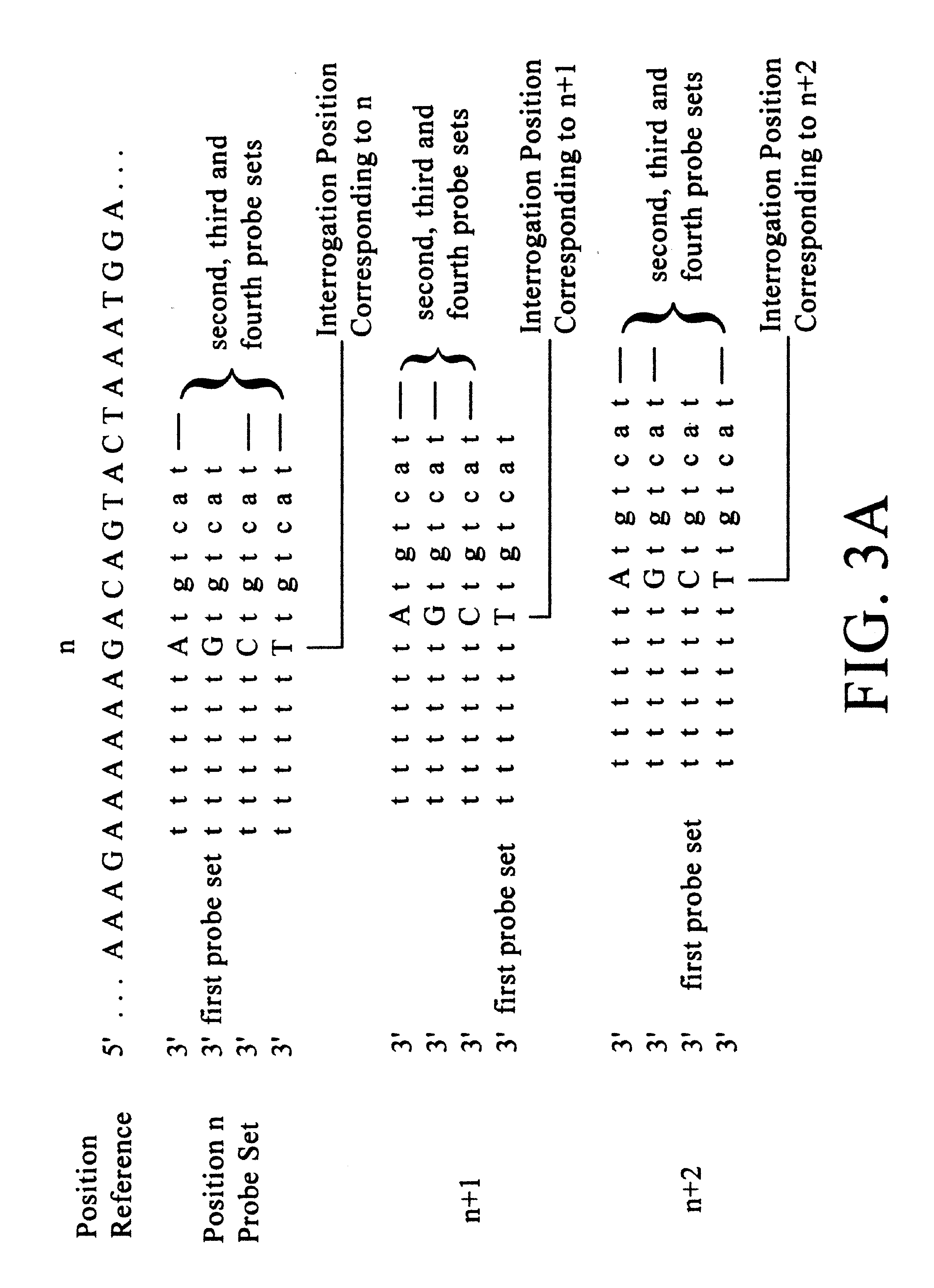 Analysis of genetic polymorphisms and gene copy number