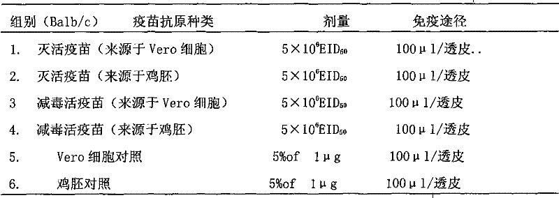 Preparation method of transdermal immune influenza multivalent vaccine