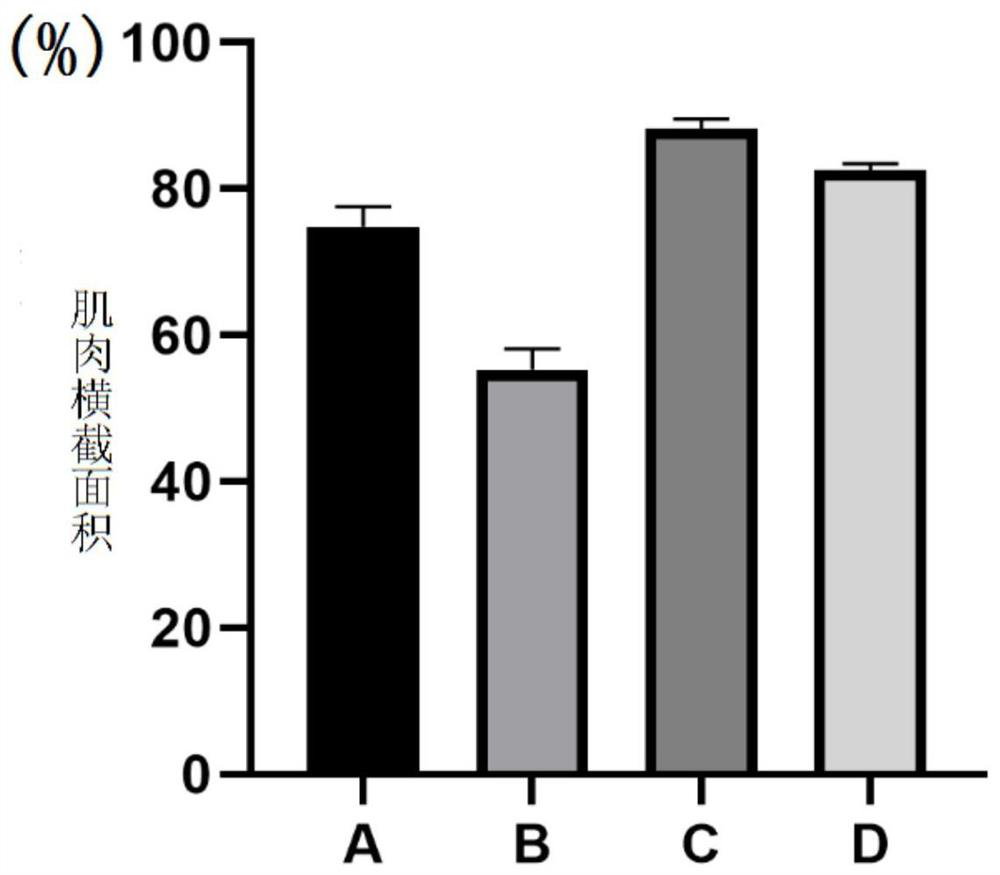 Application and extraction method of caulis spatholobi and caulis spatholobi leguminous similar medicinal materials