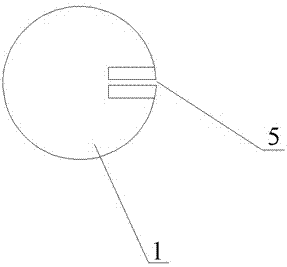 Stomach balloon weight-losing device