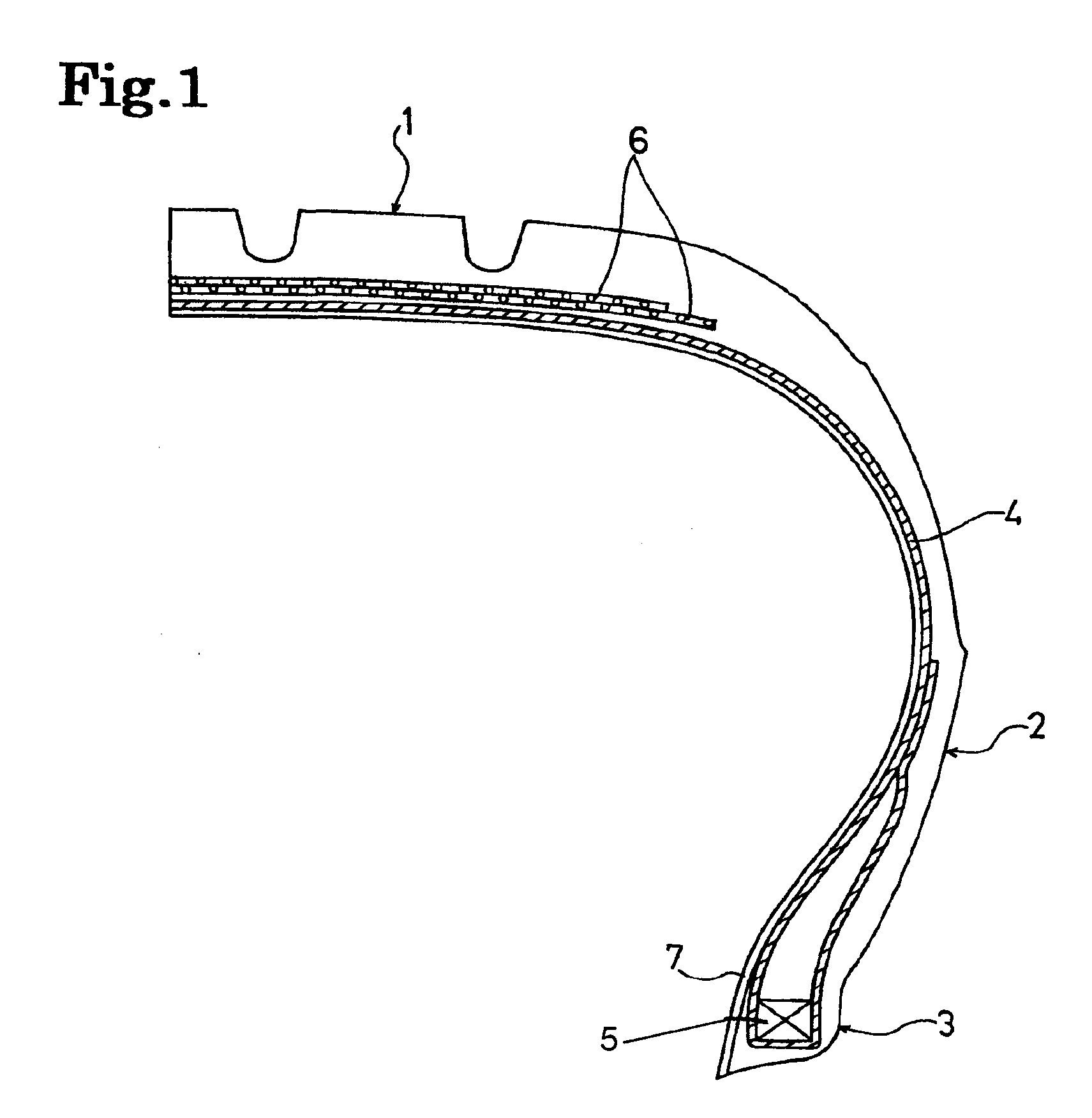 Pneumatic tire and process for manufacturing the same