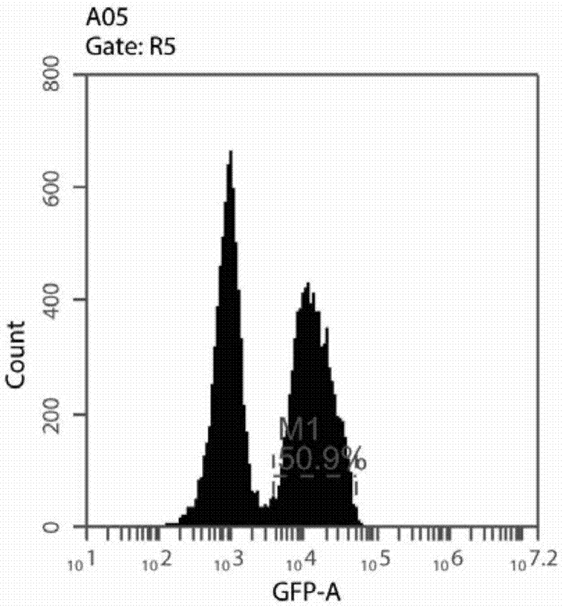 Anti-placenta-like chondroitin sulfate chimeric antigen receptor and applications thereof