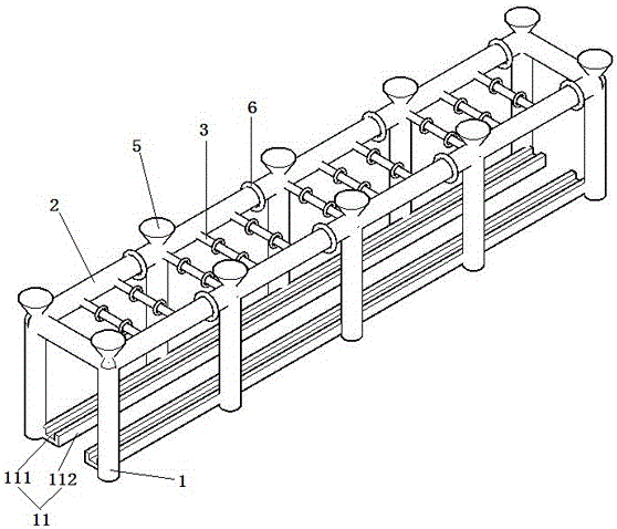 Grape planting method convenient for picking