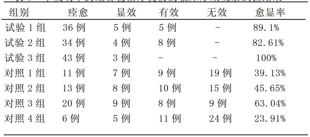 Chinese herbal medicine composition for treating burning and scalding of human body