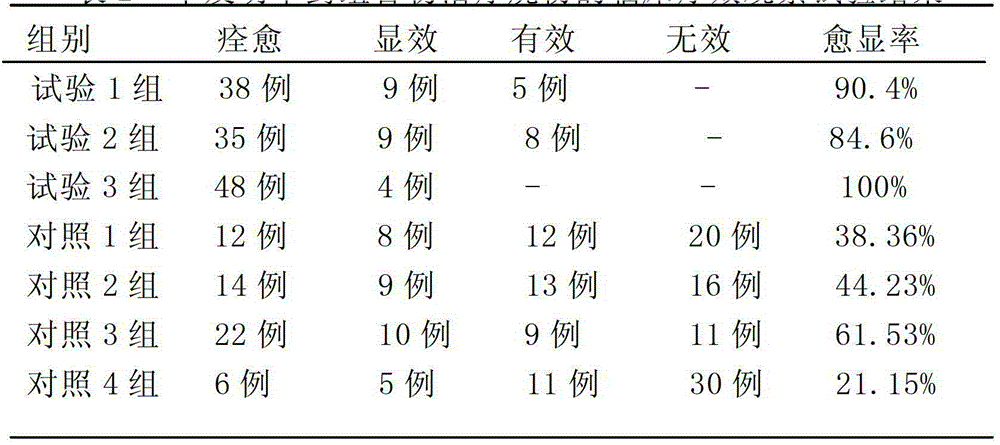 Chinese herbal medicine composition for treating burning and scalding of human body