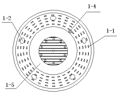 Seedling raising device for preventing other bacterium infection and application thereof