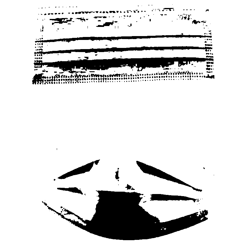 Fragrance slow-release micro-capsule mask and preparation method thereof