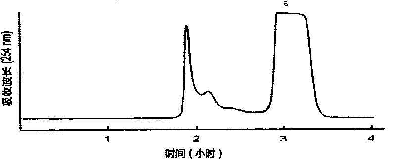 Method for separating and preparing echinacoside in herba cistanche
