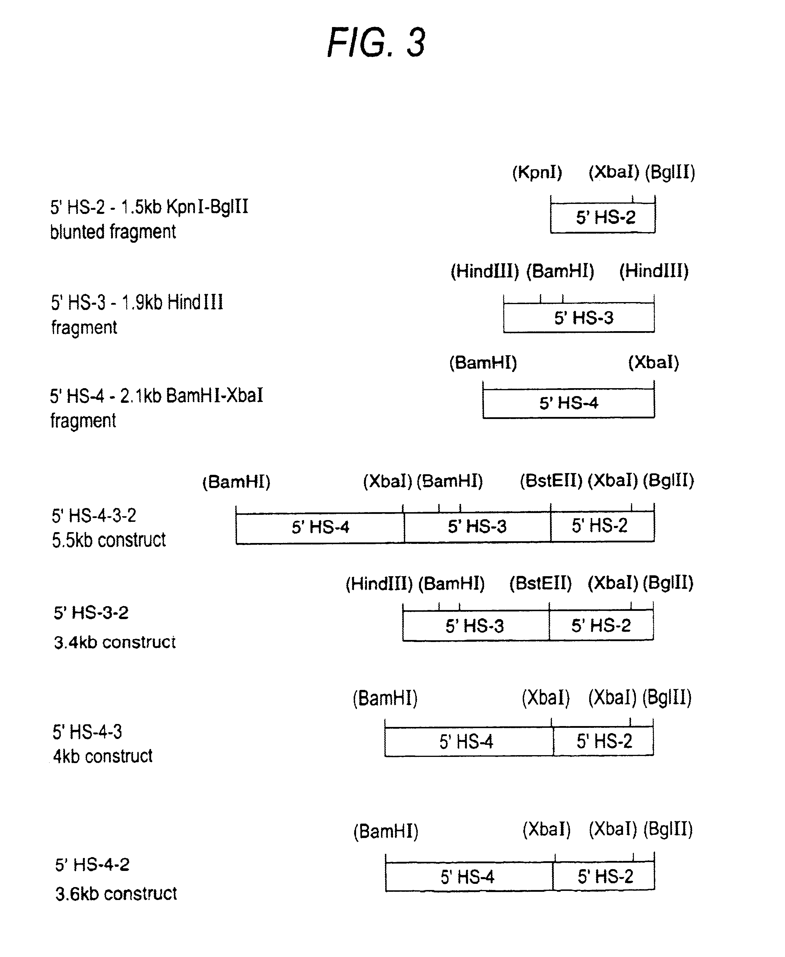 Self-replicating episomal expression vectors conferring tissue-specific gene expression