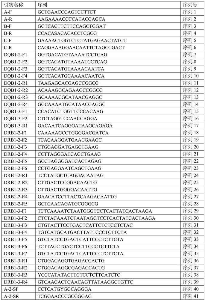 Human leukocyte antigen one-step sequencing typing method and application thereof