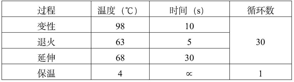 Human leukocyte antigen one-step sequencing typing method and application thereof