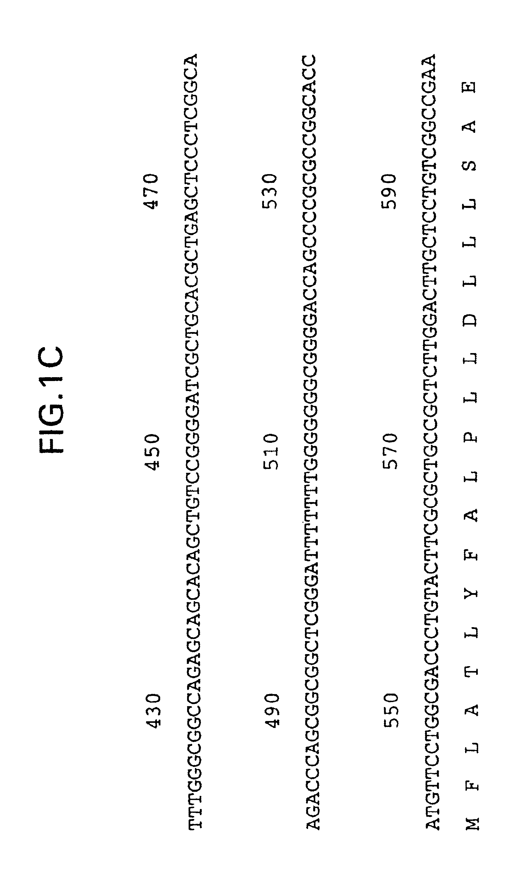 Polynucleotides encoding a neurotrophic factor receptor