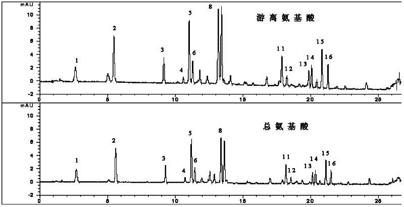 Fresh animal medicinal composition and method for measuring content of Chinese medicines of fresh animal medicinal composition