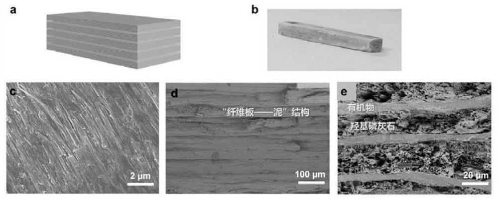 Three-dimensional multistage highly-ordered hydroxyapatite super-long nanowire fiberboard-mud structure composite material, preparation method and application thereof