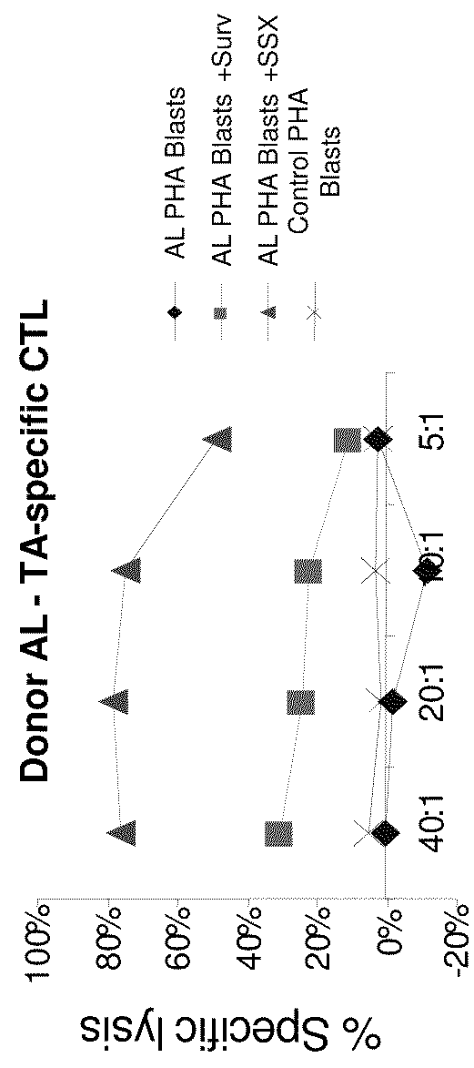 Generation of CTL lines with specificity against multiple tumor antigens or multiple viruses