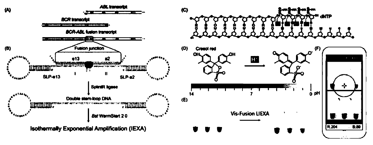 Nucleic acid quantitative analysis method based on intelligent equipment assistance and application thereof