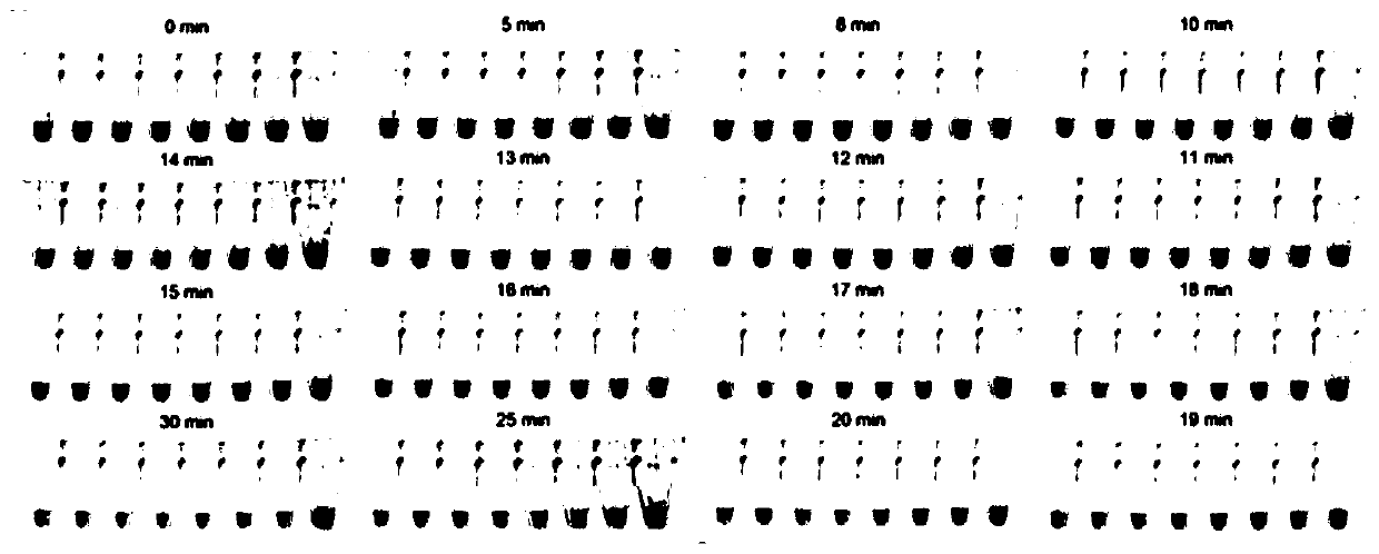 Nucleic acid quantitative analysis method based on intelligent equipment assistance and application thereof