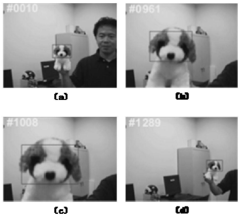 A Fast Multi-Scale Estimation Object Tracking Method on Re-Detection